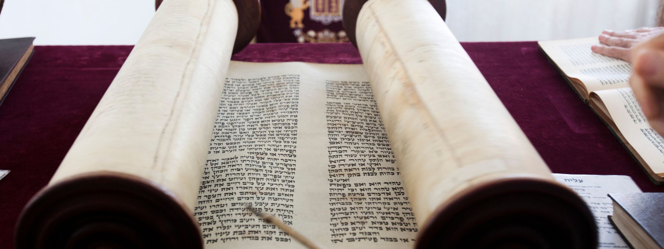 Open Torah scroll on a table with Hebrew text visible, flanked by rolled ends. A hand points with a yad, under soft lighting, evoking reverence.